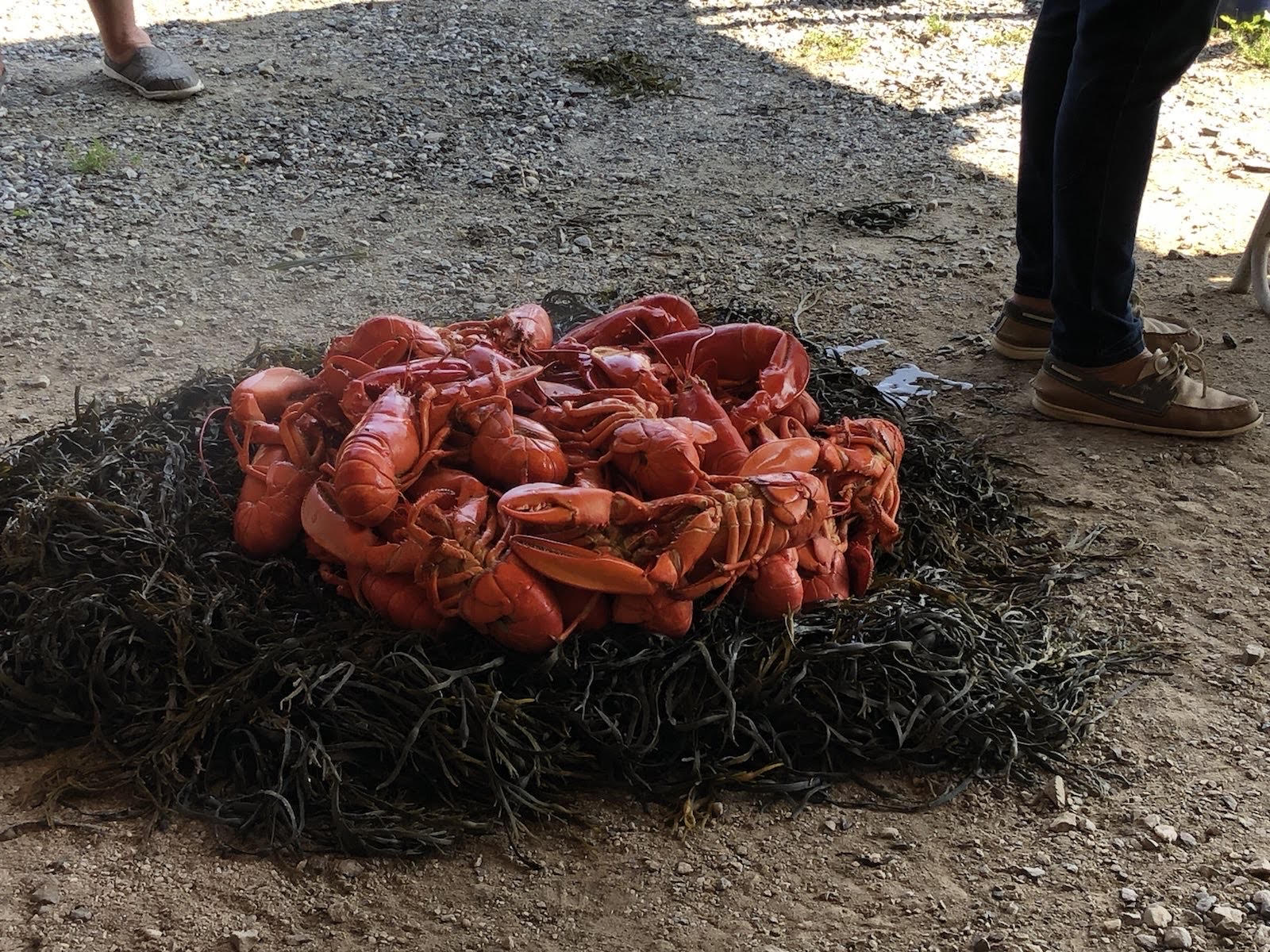 Lobster Bake at 'Sail, Power and Steam' Museum