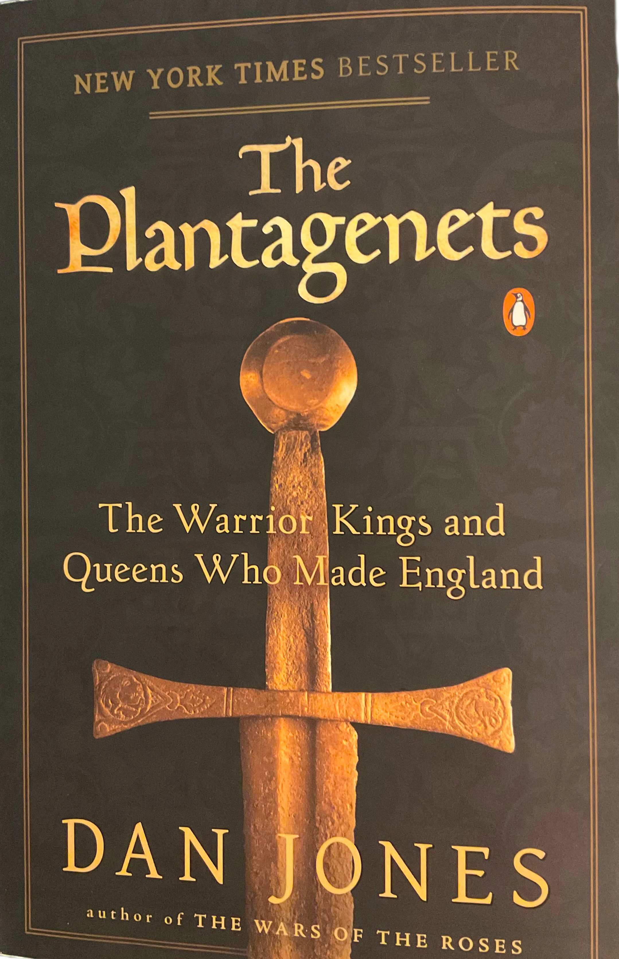 The Plantagenets: Rise Of The Angevins